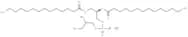 DMPG sodium