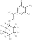 Clencyclohexerol-d10