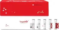 Erythroferrone Protein, Mouse, Recombinant (His)