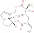 Seneciphylline