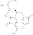 Isoscabertopin