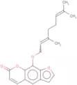 8-Geranyloxypsoralen