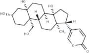 Hellebrigenol