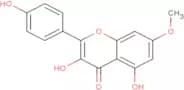 Rhamnocitrin