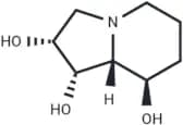Swainsonine