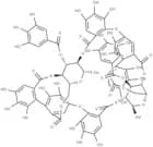 Oenothein B