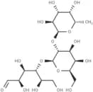 2'-FUCOSYLLACTOSE