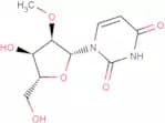 2′-O-Methyluridine