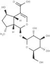8-Dehydroxyshanzhiside