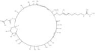 Malolactomycin C