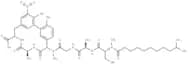 Arylomycin B2