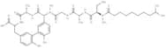 Arylomycin A1