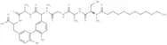 Arylomycin A3