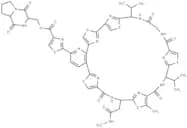Amythiamicin C