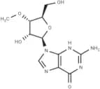 3'-O-Methyl guanosine