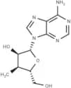3'-Deoxy-3'-a-C-methyladenosine