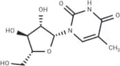 1-β-D-Arabinofuranosylthymine
