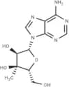 3'-β-C-Methyladenosine