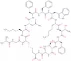 Cyclic somatostatin