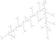 HIV-1 Rev (34-50)