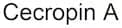 Cecropin A