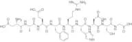 β-Amyloid (1-9)