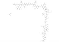PEN (human) aceate