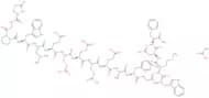 Gastrin I (human) acetate