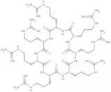 NP213