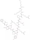 DAPK Substrate Peptide acetate
