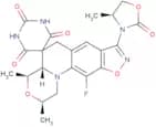 Zoliflodacin