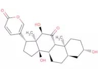 Pseudobufarenogin