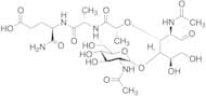 N-Acetyl-beta-D-glucosaminyl-N-acetylmuramyl-L-alanyl-D-isoglutamine