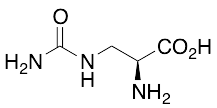 L-Albizziin