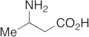 rac 3-Aminobutyric Acid