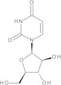 1-Beta-D-Arabinofuranosyluracil