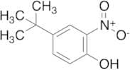 4-tert-Butyl-2-nitrophenol