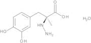 Carbidopa Monohydrate