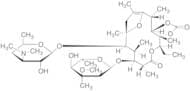 Cycloester Erythromycin Enol Ether