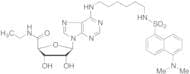 Dansylhexyl NECA