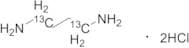 1,4-Diaminobutane-1,4-13C2 Dihydrochloride