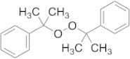 Dicumyl Peroxide