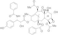 6Alpha,3'-p-Dihydroxy Paclitaxel