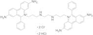 Ethidium homodimer I solution