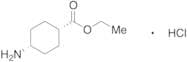 Ethyl cis-4-Aminocyclohexanecarboxylate Hydrochloride