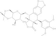 cis-Etoposide