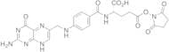 Folic Acid NHS Ester (gamma : alpha =2 :1)