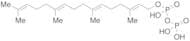 Geranylgeranyl Pyrophosphate