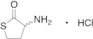 dl Homocysteine Thiolactone Hydrochloride