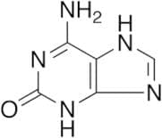 Isoguanine